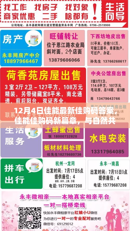 佳能佳購碼新篇章揭秘，與自然共舞，探尋心靈寧靜之地（12月4日最新答案）