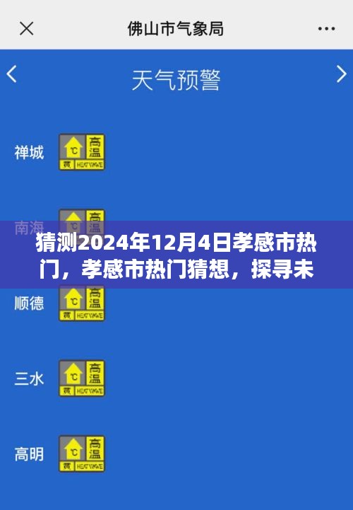 探尋孝感市未來魅力風采，2024年12月4日熱門猜想與風采展望