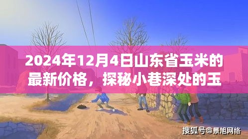 山東省玉米秘境探秘，最新價格與隱藏特色小店的奇妙邂逅