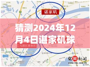 諶家磯球場最新動態(tài)展望，未來賽事猜想（2024年12月4日）