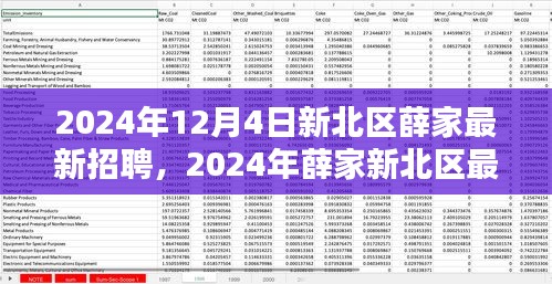 2024年新北區(qū)薛家最新招聘全攻略，適合初學(xué)者與進(jìn)階用戶的應(yīng)聘指南