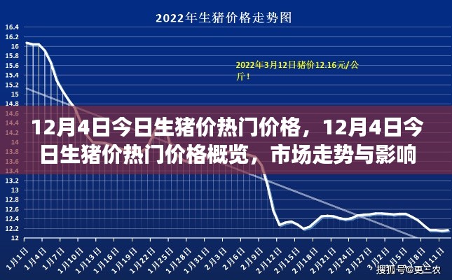 12月4日生豬價(jià)熱門概覽，深度解析市場(chǎng)走勢(shì)與影響因素