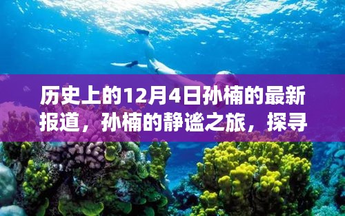 孫楠的靜謐之旅，探尋自然美景與內(nèi)心力量的歷史報道（12月4日最新）