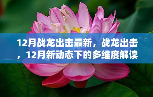 戰(zhàn)龍出擊，12月新動(dòng)態(tài)多維度解讀