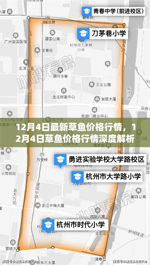 12月4日草魚價格行情解析，市場走勢、影響因素及選購指南