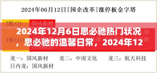 思必馳溫馨日常，揭秘2024年12月6日的奇妙時光