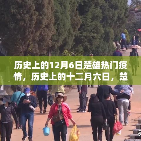 歷史上的十二月六日，楚雄疫情風(fēng)云變遷回顧