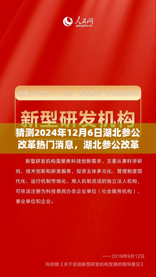 湖北參公改革展望，深度解析熱門消息，預(yù)測未來趨勢至2024年12月6日