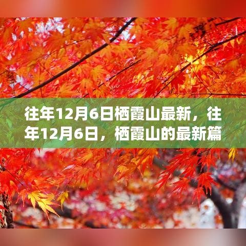 往年12月6日棲霞山深度解析，歷史、事件與地位的新篇章