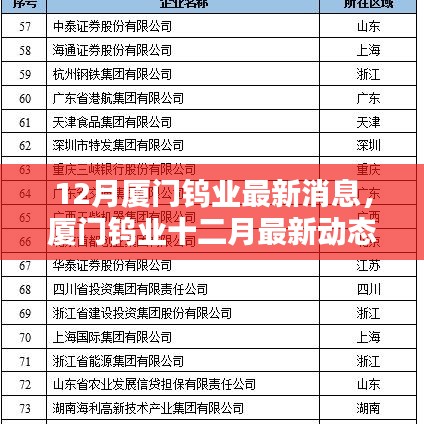 廈門鎢業(yè)十二月最新動(dòng)態(tài)概覽，最新消息概覽