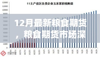 聚焦糧食期貨市場深度洞察，十二月最新動態(tài)與市場趨勢