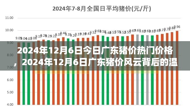 廣東豬價(jià)風(fēng)云背后的溫情故事，最新價(jià)格動(dòng)態(tài)與深度解讀