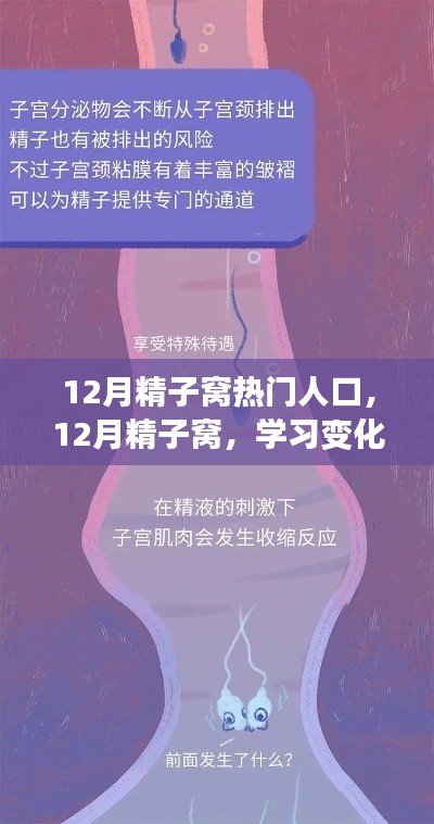 12月精子窩，學習變化與自信成就感的源泉，熱門人生的啟航地