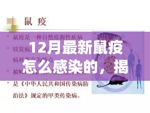 揭秘最新鼠疫感染途徑與預(yù)防措施，預(yù)防勝于恐慌