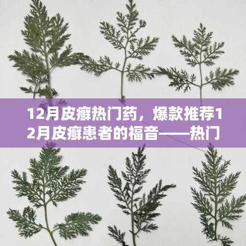 12月皮癬熱門藥物大盤點(diǎn)，爆款推薦與患者的福音