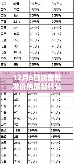 12月6日螃蟹批發(fā)價(jià)格最新行情，12月6日螃蟹批發(fā)價(jià)格最新行情詳解，入門指南與關(guān)鍵步驟