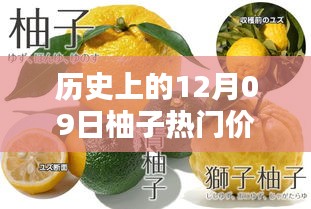 揭秘柚子歷史價(jià)格，柚子價(jià)格查詢?nèi)ヂ裕ㄟm合初學(xué)者與進(jìn)階用戶）