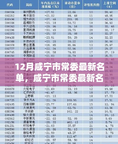 12月咸寧市常委最新名單，咸寧市常委最新名單科技新品亮相，智能時代，革新未來體驗