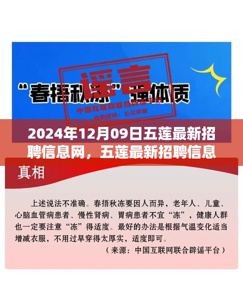 五蓮最新招聘信息網(wǎng)使用指南（初學(xué)者與進(jìn)階用戶適用，發(fā)布日期，2024年12月9日）