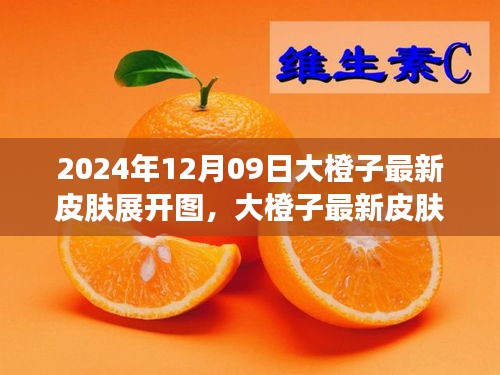 大橙子最新皮膚展開圖評(píng)測(cè)與介紹，2024年12月09日獨(dú)家報(bào)道