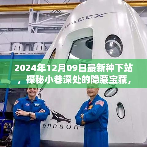 探秘最新種下站，小巷深處的隱藏寶藏與特色小店推薦（2024年12月09日）