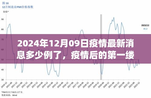 疫情最新消息下的自然美景之旅，啟程尋找內(nèi)心的寧?kù)o港灣（2024年12月09日）