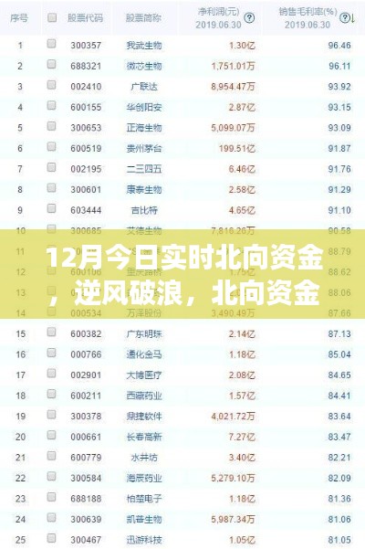 北向資金啟示下的成長奇跡，12月實時洞察，自信成就夢想之旅