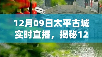 揭秘太平古城直播日，巷弄深處的獨(dú)特小店與探秘之旅