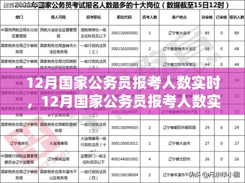 12月國家公務(wù)員報(bào)考人數(shù)實(shí)時(shí)分析與趨勢探討，數(shù)據(jù)、策略一覽