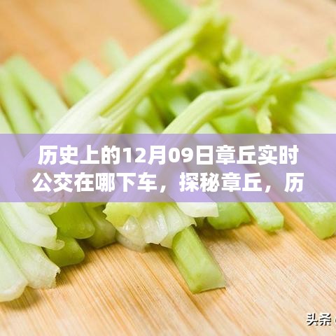 探秘章丘，歷史深處的公交軌跡與小巷美食寶藏——12月9日實時公交指南