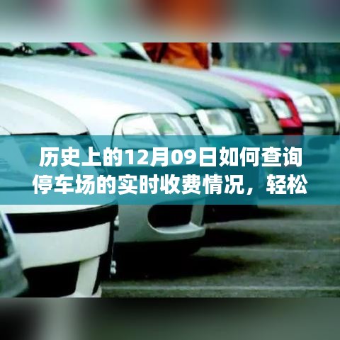 如何查詢停車場實時收費情況？詳細步驟指南（歷史上的12月09日版）