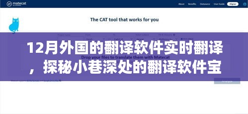 探秘十二月外國(guó)實(shí)時(shí)翻譯軟件，小巷深處的翻譯寶藏體驗(yàn)之旅