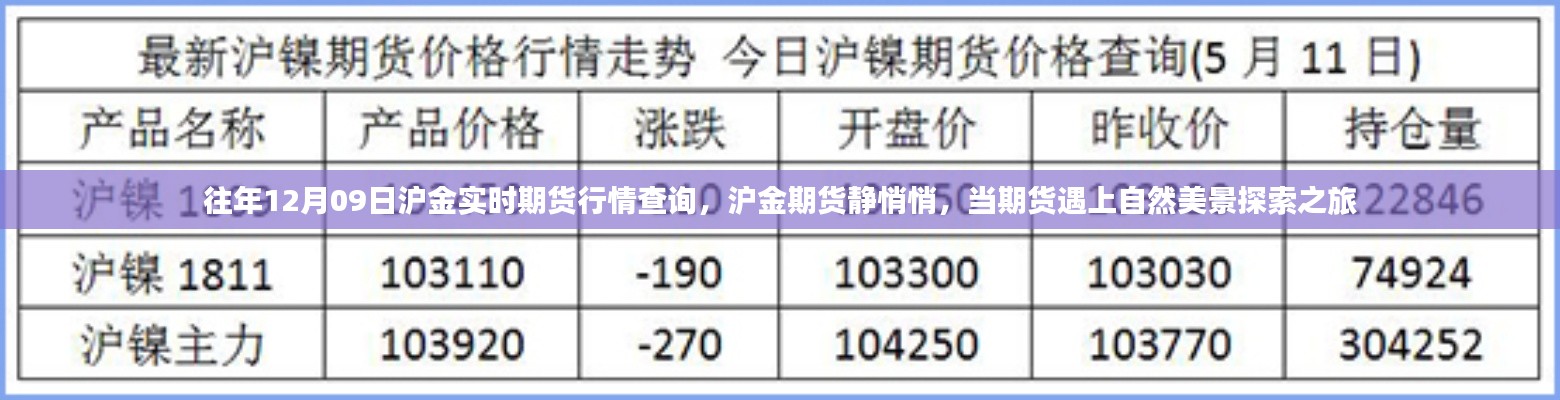 往年12月09日滬金期貨行情解析，靜謐市場與美景探索之旅