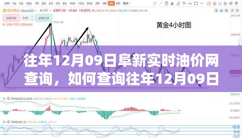 往年12月09日阜新實時油價網(wǎng)查詢攻略，初學(xué)者與進(jìn)階用戶指南