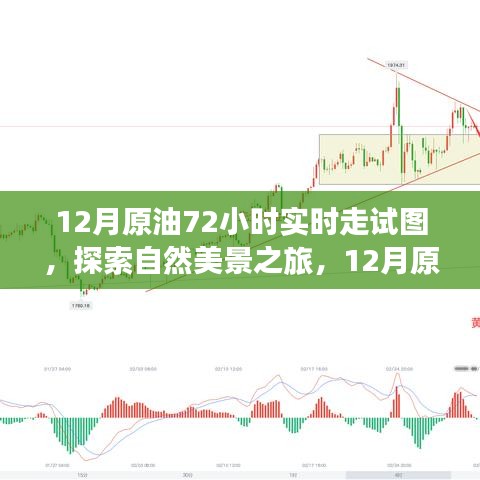 揭秘原油走勢圖背后的故事，探尋自然美景之旅的實時追蹤報告