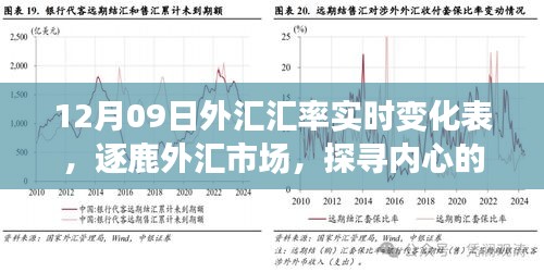 揭秘外匯市場風(fēng)云變幻，探尋匯率背后的故事——12月09日外匯匯率實時變化表解析