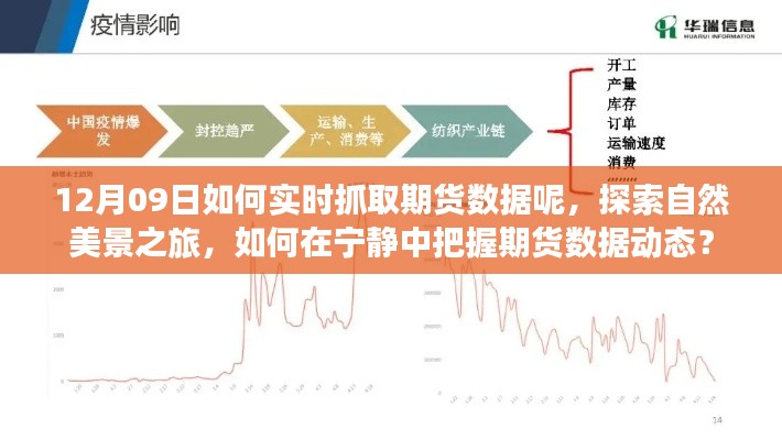 探索自然美景之旅與實時抓取期貨數(shù)據(jù)，寧靜中的動態(tài)把握策略