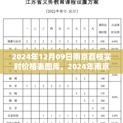 2024年南京荔枝實時價格表圖庫制作指南，從初學(xué)者到進階用戶全攻略