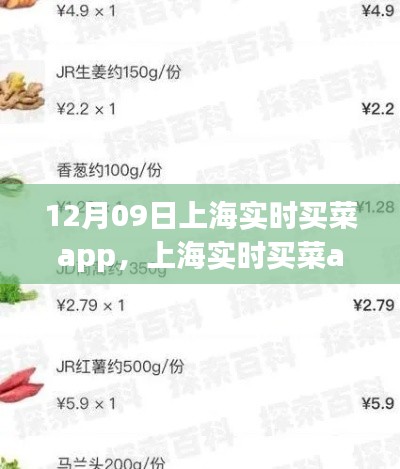 上海實(shí)時買菜app使用指南，從初學(xué)者到進(jìn)階用戶的全方位指南（12月09日版）