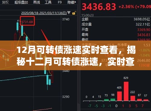揭秘十二月可轉(zhuǎn)債漲速，實(shí)時(shí)查看與深度解讀報(bào)告