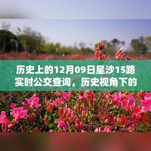 歷史視角下的星沙公交發(fā)展，星沙公交查詢系統(tǒng)深度探討與實時公交查詢服務(wù)解析（附，歷史上的星沙公交變遷）