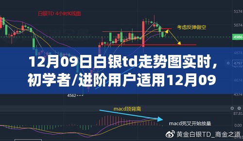 12月09日白銀TD走勢圖實(shí)時(shí)分析指南，適合初學(xué)者與進(jìn)階用戶