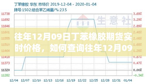 如何查詢往年12月09日丁苯橡膠期貨實(shí)時(shí)價(jià)格，詳細(xì)步驟及最新價(jià)格信息指南