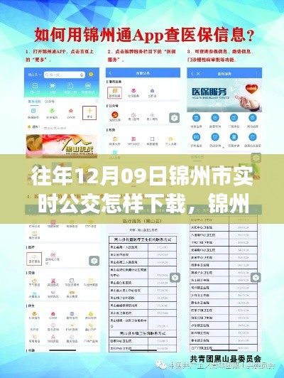 錦州市實(shí)時(shí)公交查詢APP下載指南，以往年12月09日為例的教程分享