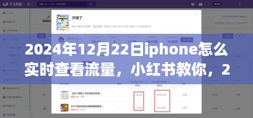 2024年12月22日iPhone實時查看流量教程，小紅書教你如何輕松監(jiān)控流量消耗