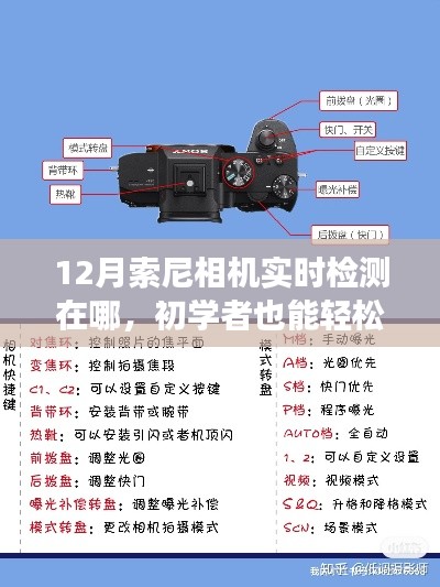 初學(xué)者也能輕松掌握！12月索尼相機(jī)實(shí)時(shí)檢測(cè)功能使用指南