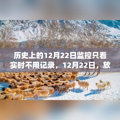 12月22日，放下記錄，心靈旅行的日子