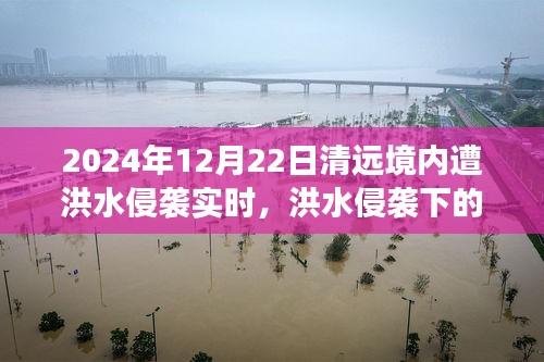 洪水侵襲下的清遠(yuǎn)秘境，美食奇遇與實(shí)時(shí)報(bào)道