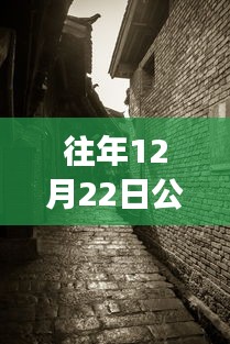 探秘寶藏店，公路云實(shí)時監(jiān)控軟件下載新體驗(yàn)，12月22日實(shí)時下載探秘小巷深處之旅