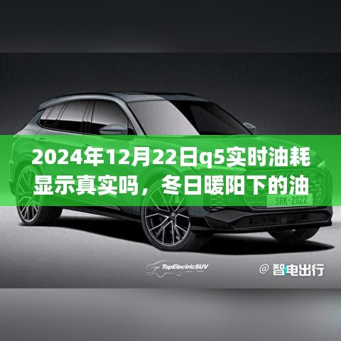 冬日暖陽(yáng)下的真相探尋，2024年Q5實(shí)時(shí)油耗顯示的可信度與友情之旅